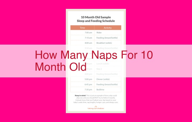 how many naps for 10 month old