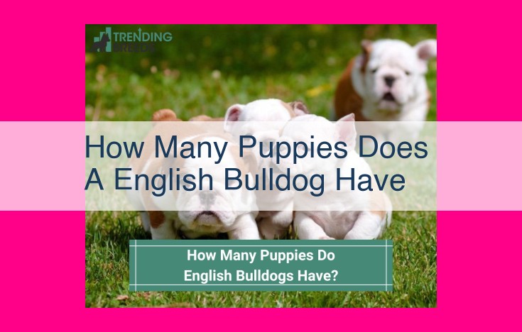 how many puppies does a english bulldog have