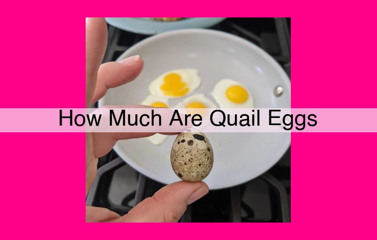 how much are quail eggs