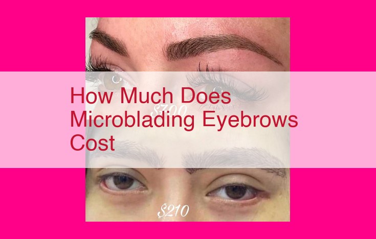 how much does microblading eyebrows cost