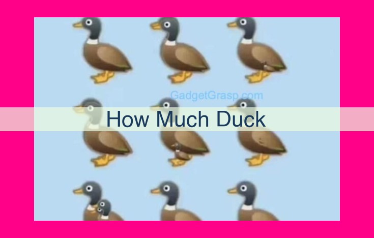 how much duck