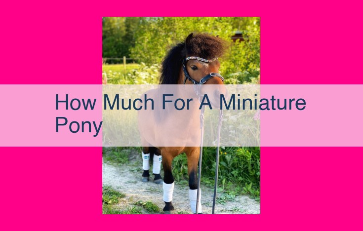 how much for a miniature pony