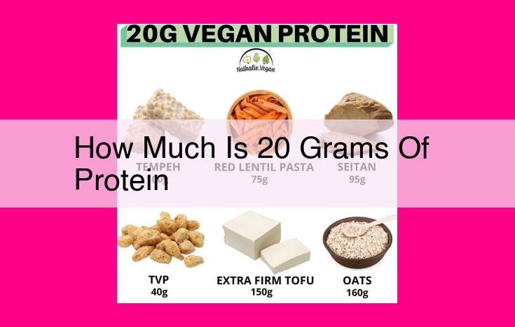 how much is 20 grams of protein