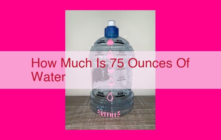 how much is 75 ounces of water