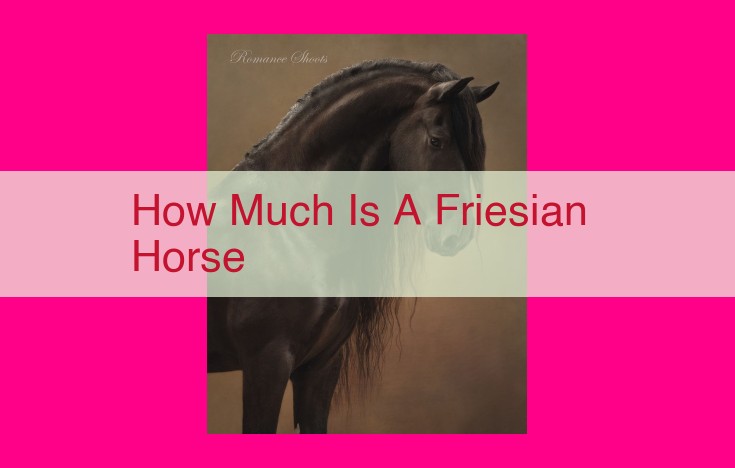 how much is a friesian horse