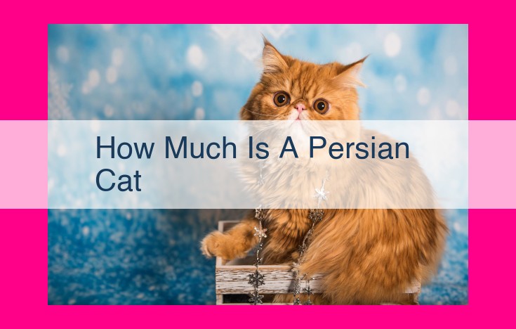 how much is a persian cat