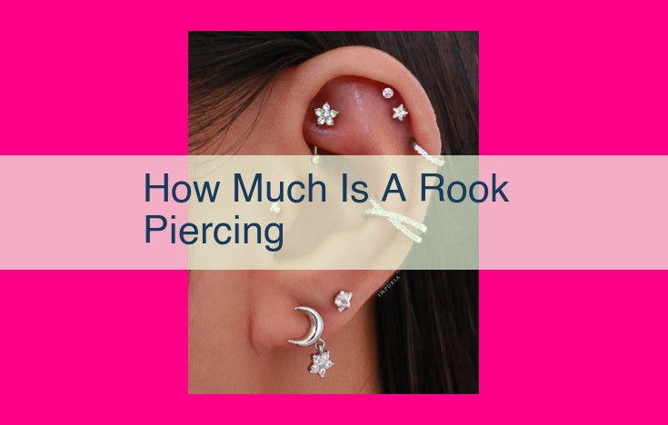 how much is a rook piercing