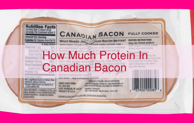 how much protein in canadian bacon