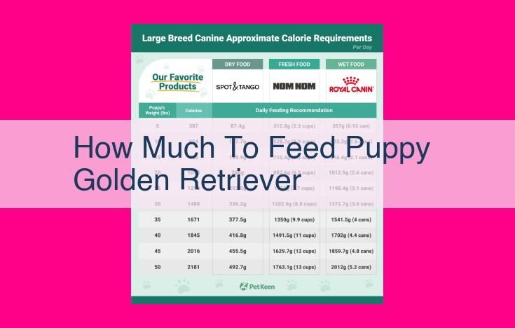 how much to feed puppy golden retriever