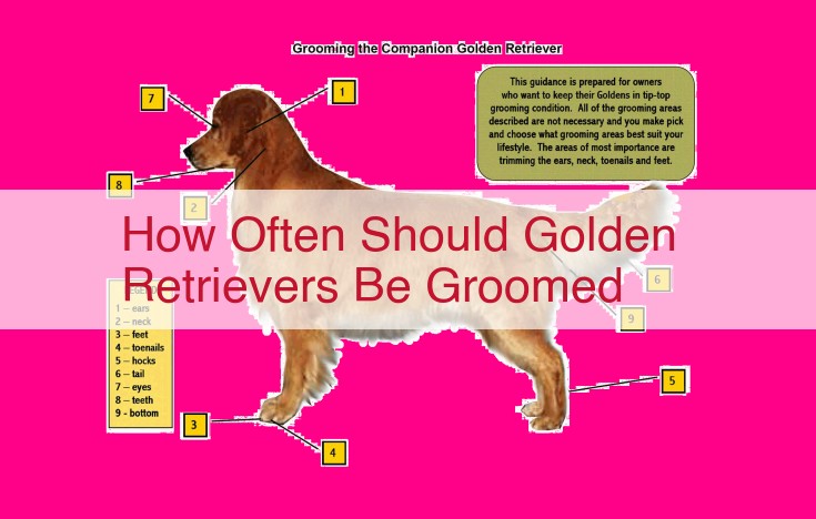 how often should golden retrievers be groomed