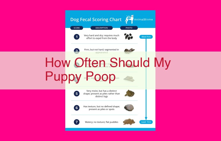 how often should my puppy poop