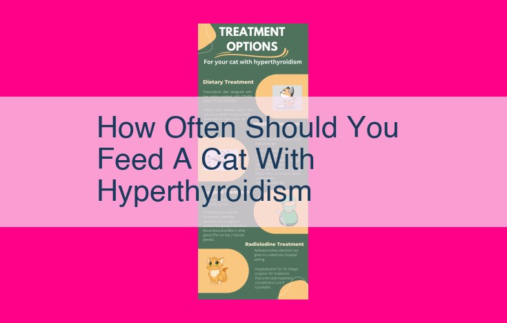 how often should you feed a cat with hyperthyroidism