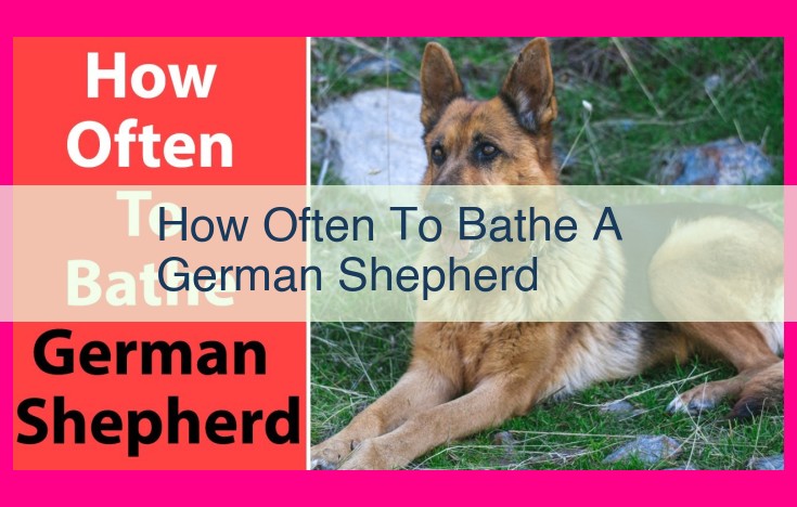 how often to bathe a german shepherd