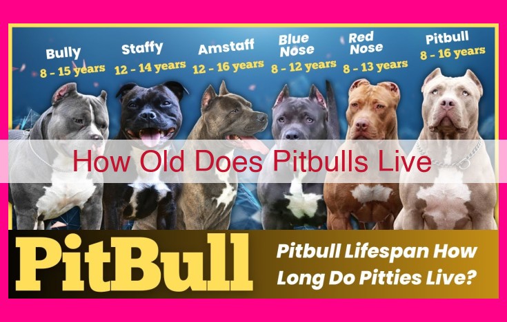 how old does pitbulls live