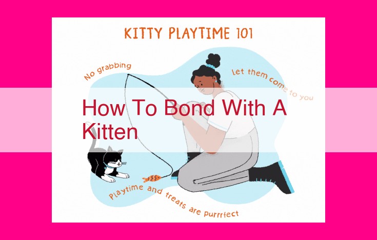 how to bond with a kitten