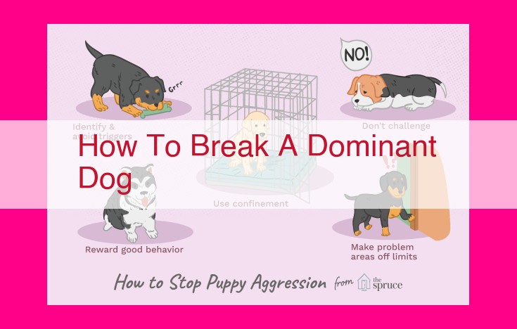 how to break a dominant dog