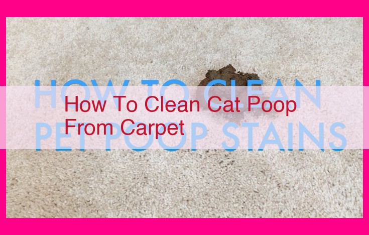 how to clean cat poop from carpet