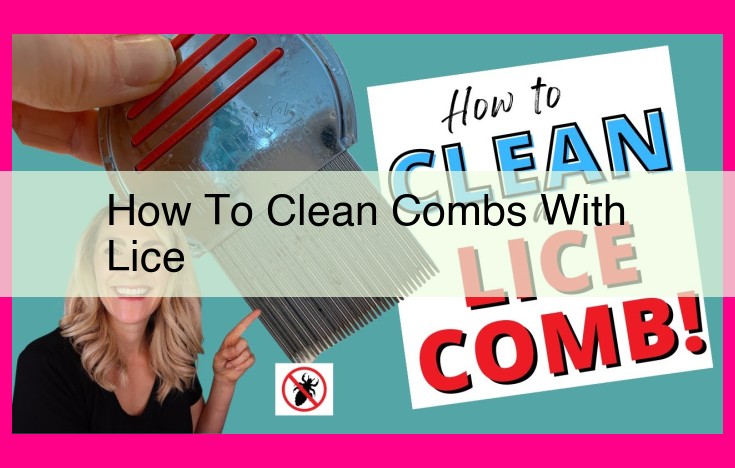 how to clean combs with lice