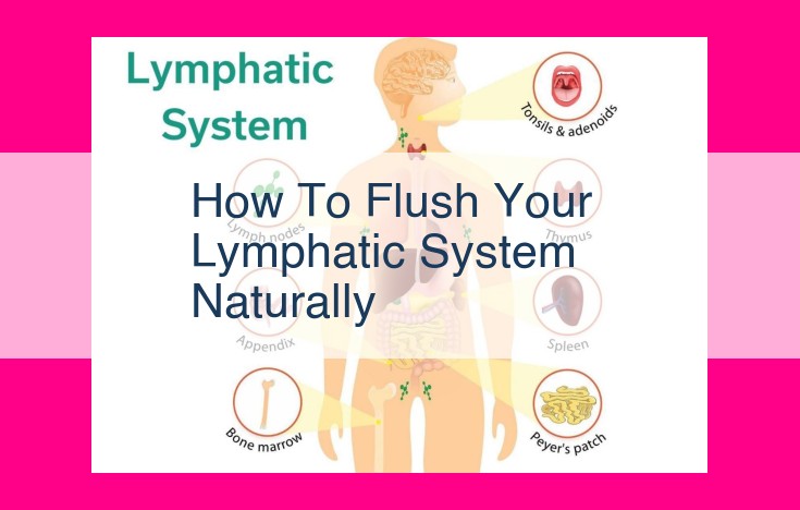 how to flush your lymphatic system naturally