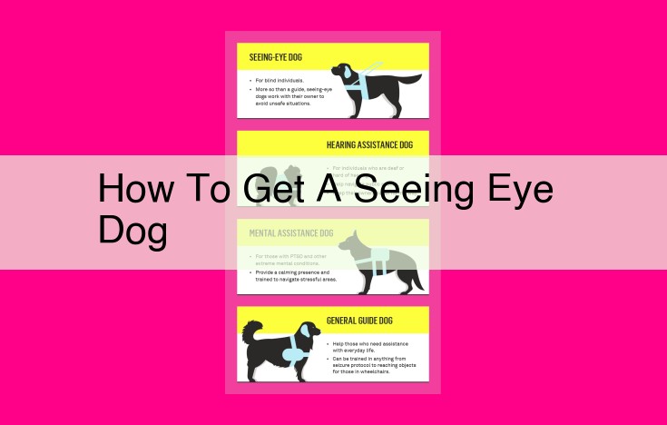 how to get a seeing eye dog