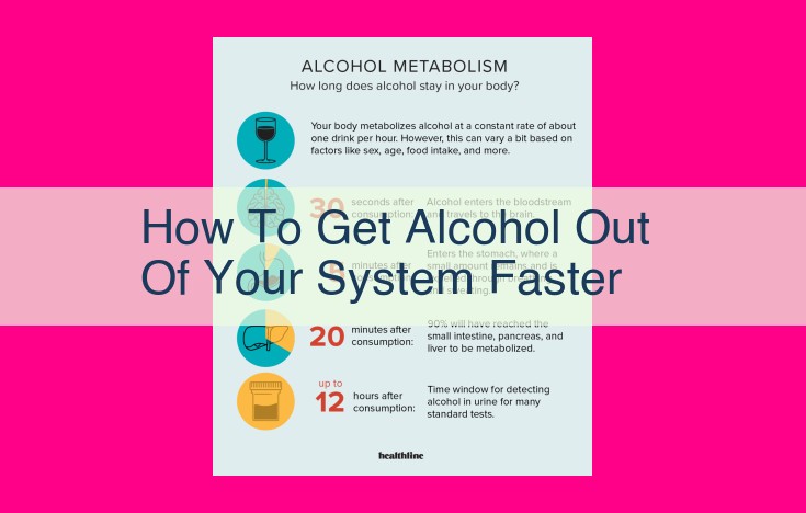 how to get alcohol out of your system faster