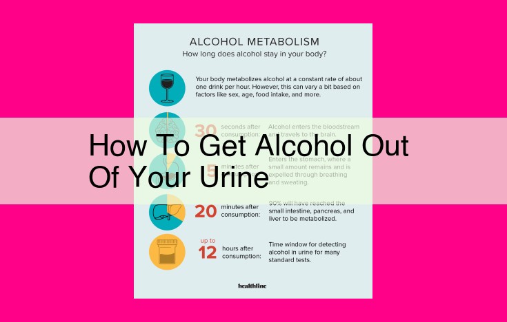 how to get alcohol out of your urine