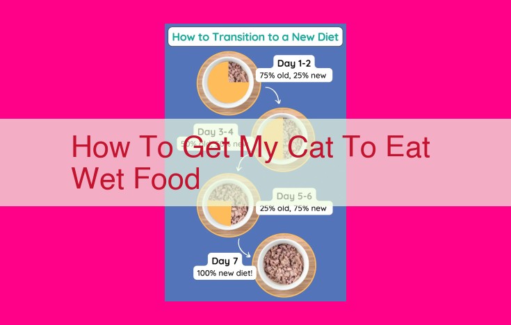 how to get my cat to eat wet food