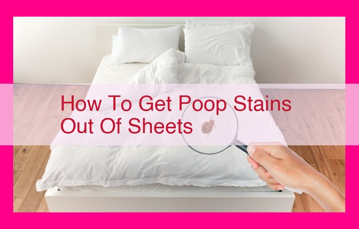 how to get poop stains out of sheets