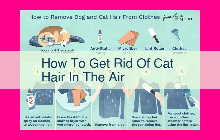 how to get rid of cat hair in the air