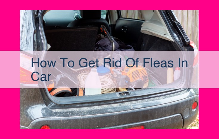 how to get rid of fleas in car