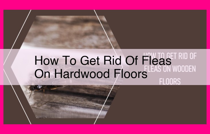 how to get rid of fleas on hardwood floors