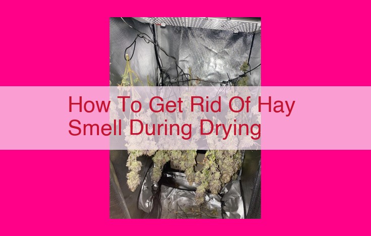 how to get rid of hay smell during drying