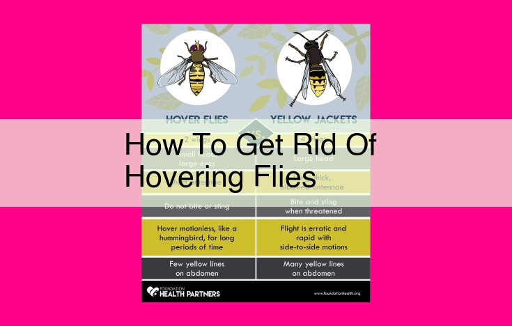 how to get rid of hovering flies