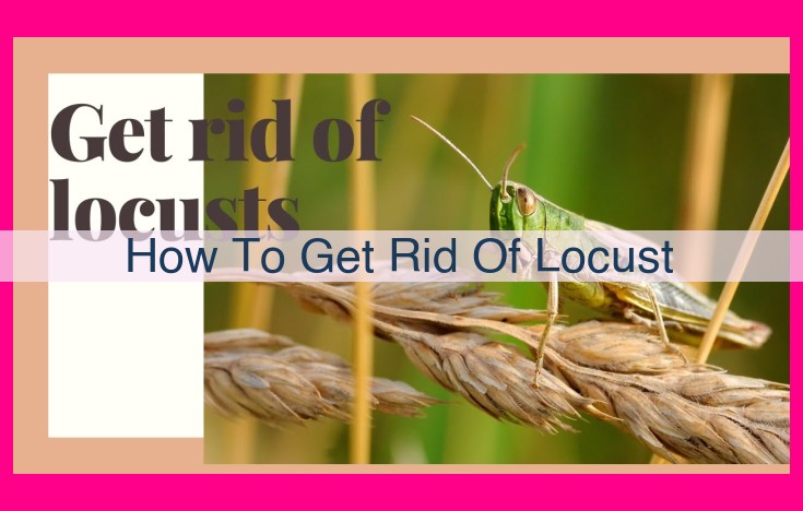 how to get rid of locust