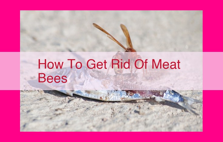 how to get rid of meat bees