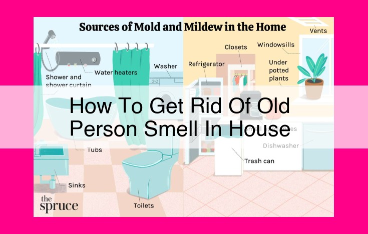 how to get rid of old person smell in house