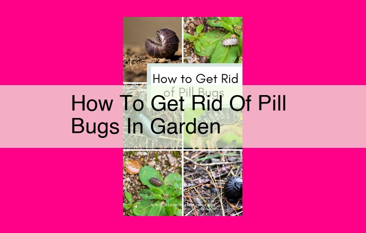 how to get rid of pill bugs in garden