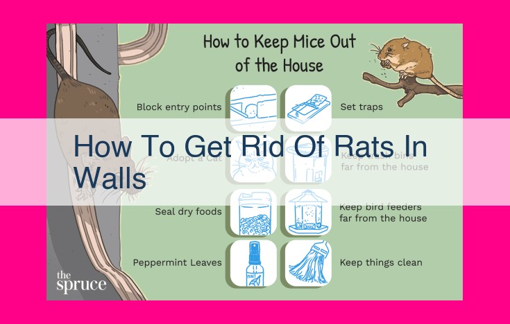 how to get rid of rats in walls