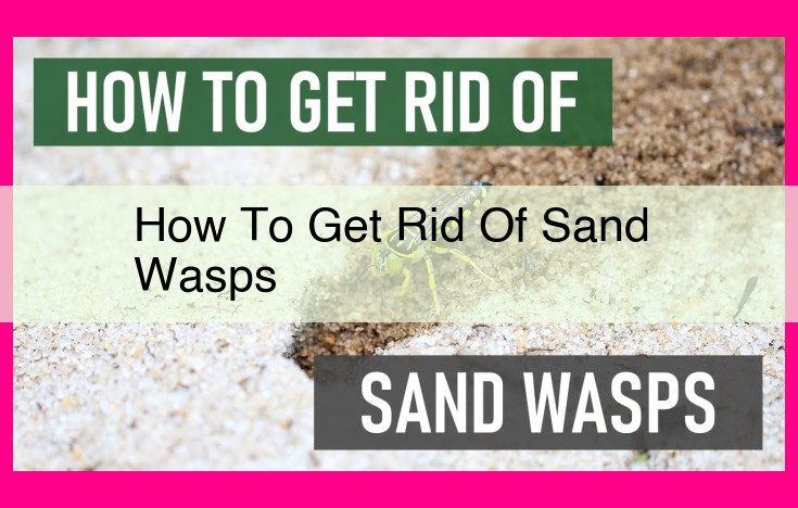 how to get rid of sand wasps