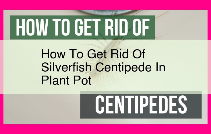 how to get rid of silverfish centipede in plant pot