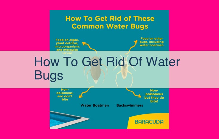 how to get rid of water bugs