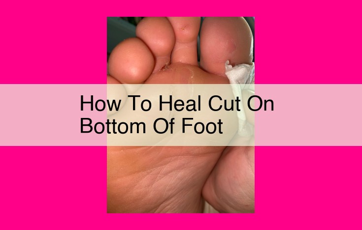 how to heal cut on bottom of foot