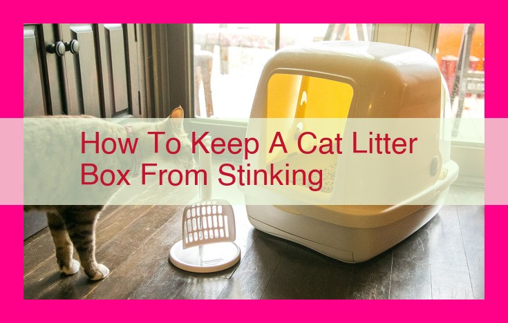 how to keep a cat litter box from stinking