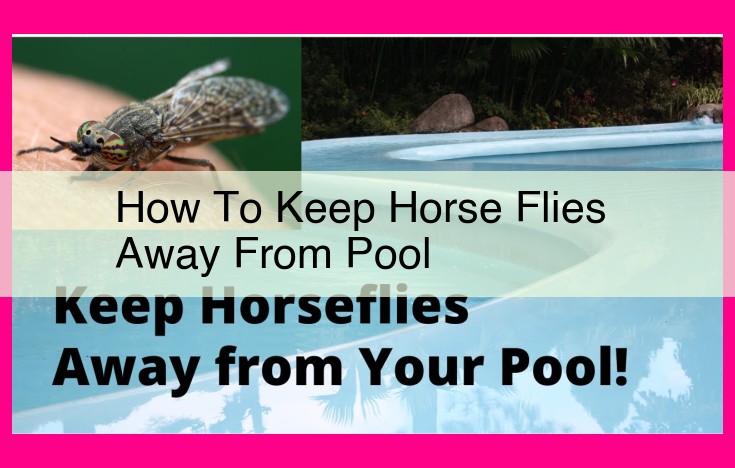 how to keep horse flies away from pool