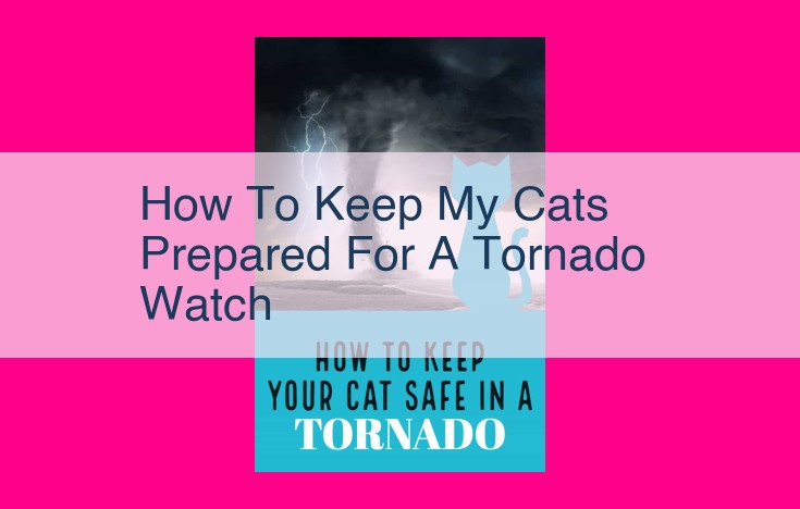 how to keep my cats prepared for a tornado watch