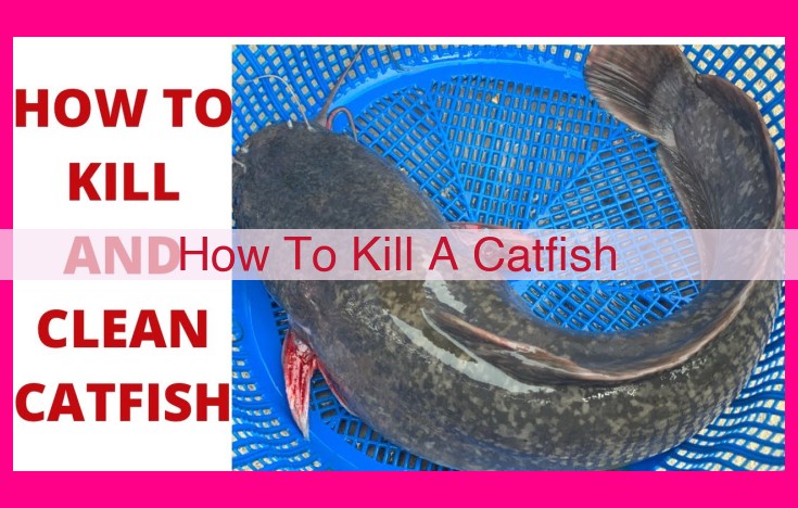 how to kill a catfish