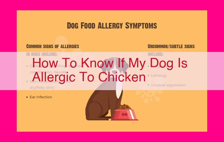 how to know if my dog is allergic to chicken