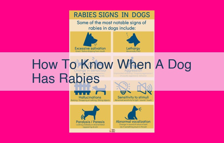 how to know when a dog has rabies