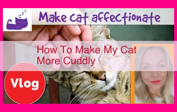 how to make my cat more cuddly