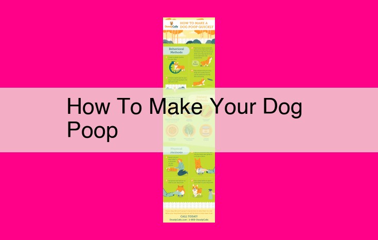 how to make your dog poop